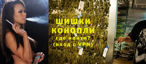 ПСИЛОЦИБИНОВЫЕ ГРИБЫ Осташков
