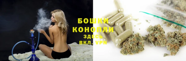 дмт Богданович