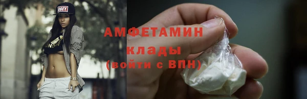 дмт Богданович