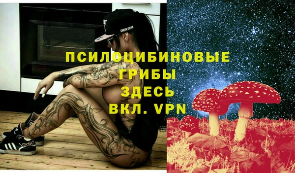 дмт Богданович