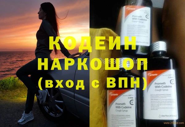 бошки Бородино