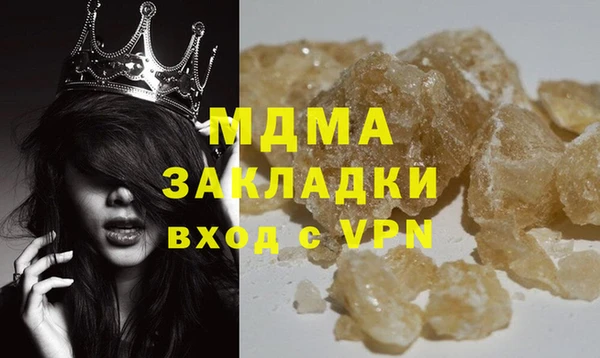 дмт Богданович