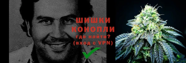 дмт Богданович