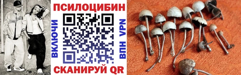 Псилоцибиновые грибы Magic Shrooms Навашино