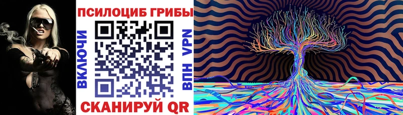 Псилоцибиновые грибы Psilocybe Навашино